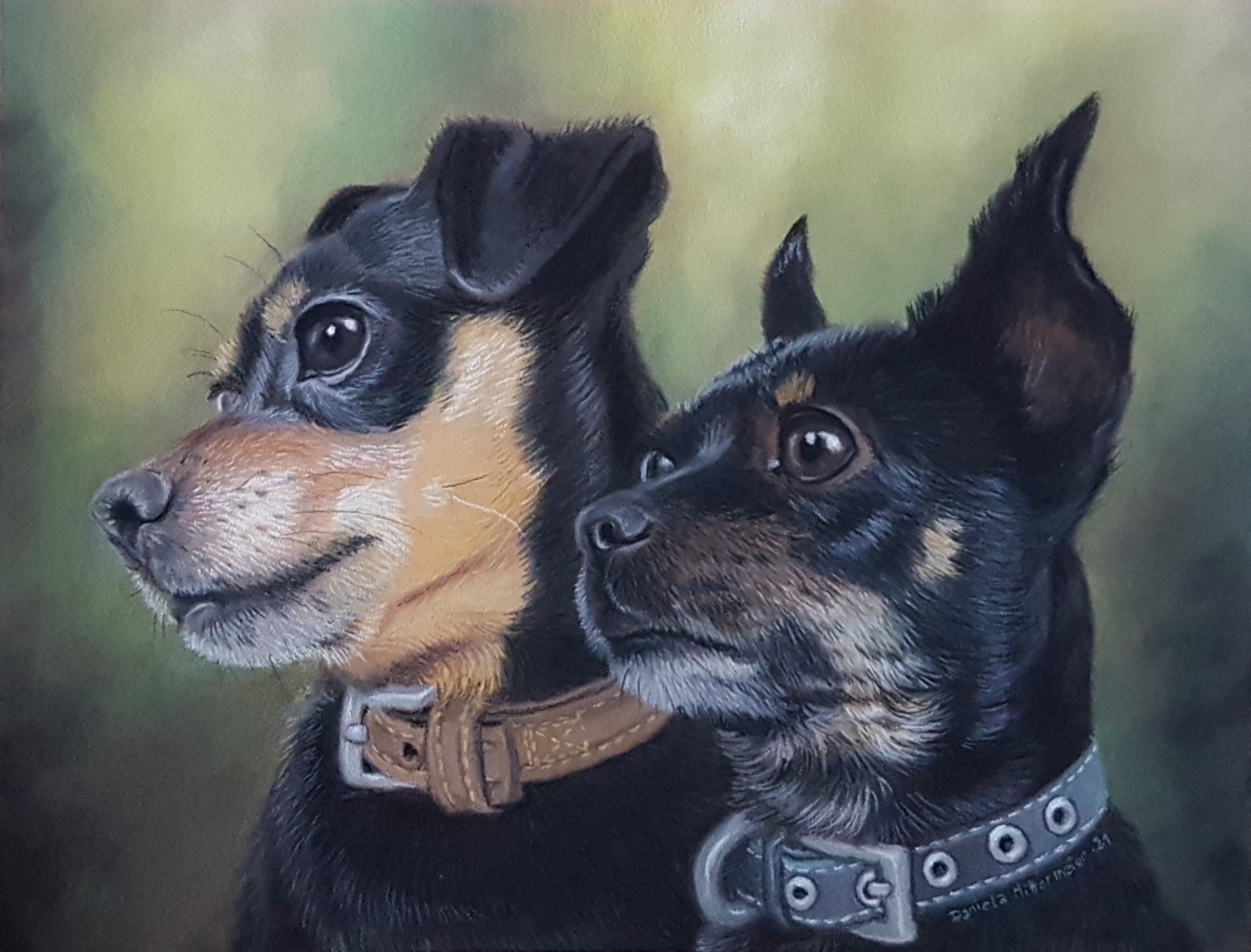 Pastellportrait zweier Mischlings Hunde