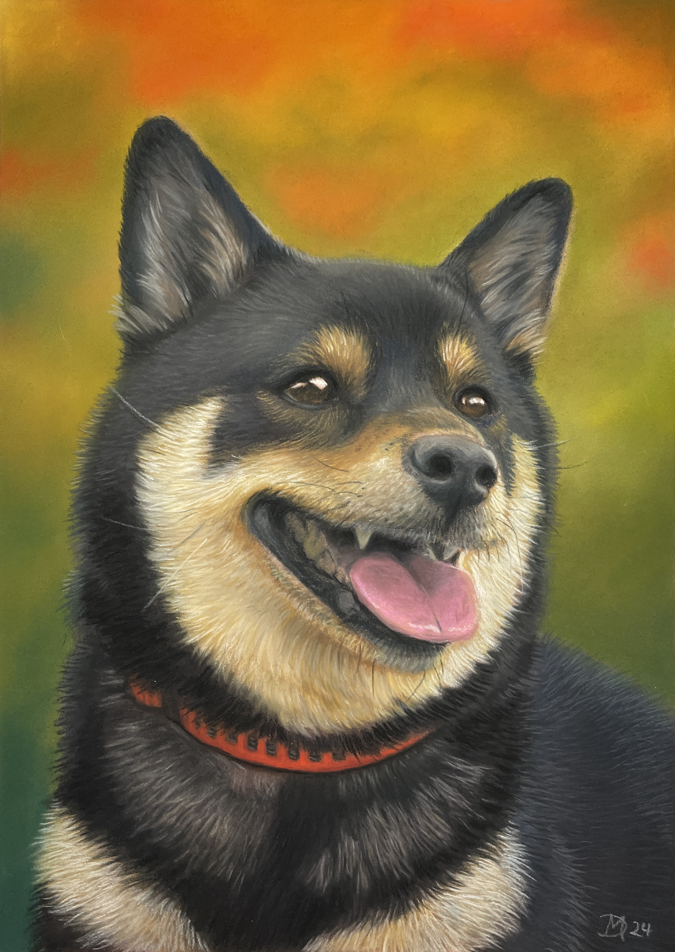 Pastell Portrait eines Shiba Inu