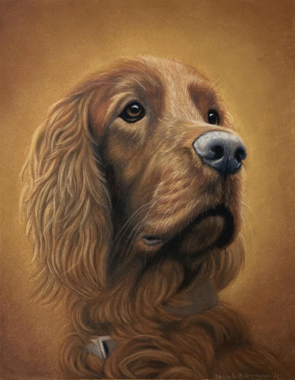 Pastellportrait eines Irish Setter